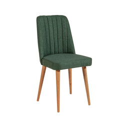 Valgomojo kėdė Asir, žalia kaina ir informacija | Virtuvės ir valgomojo kėdės | pigu.lt