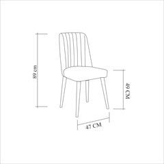 Valgomojo kėdė Asir, pilka kaina ir informacija | Virtuvės ir valgomojo kėdės | pigu.lt