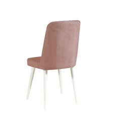 Valgomojo kėdė Asir, rožinė kaina ir informacija | Virtuvės ir valgomojo kėdės | pigu.lt