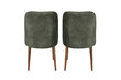 2-jų kėdžių komplektas Kalune Design Dallas 558 V2, žalias kaina ir informacija | Virtuvės ir valgomojo kėdės | pigu.lt