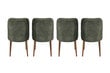 4-ių kėdžių komplektas Kalune Design Dallas 558, žalias/rudas kaina ir informacija | Virtuvės ir valgomojo kėdės | pigu.lt