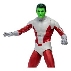 Figūrėlė DC Comics Multiverse Beast Boy, 18 cm kaina ir informacija | Žaislai berniukams | pigu.lt