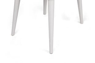 4-ių kėdžių komplektas Kalune Design Alfa 495 V4, smėlio/baltas kaina ir informacija | Virtuvės ir valgomojo kėdės | pigu.lt