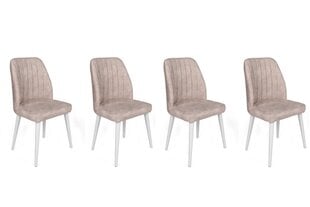 4-ių kėdžių komplektas Kalune Design Alfa 495 V4, smėlio/baltas kaina ir informacija | Virtuvės ir valgomojo kėdės | pigu.lt