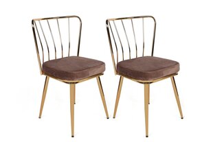 комплект из 2 стульев Kalune Design Yildiz 927 V2, коричневый/золотой цена и информация | Стулья для кухни и столовой | pigu.lt