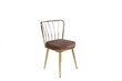2-jų kėdžių komplektas Kalune Design Yildiz 927 V2, rudas/aukso kaina ir informacija | Virtuvės ir valgomojo kėdės | pigu.lt