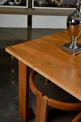 Обеденный стол Asir Çery, коричневый цена и информация | Кухонные и обеденные столы | pigu.lt