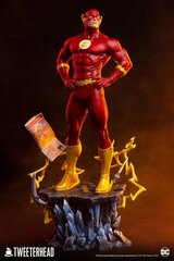 DC Comics The Flash kaina ir informacija | Žaidėjų atributika | pigu.lt