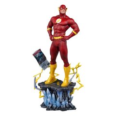 DC Comics The Flash kaina ir informacija | Žaidėjų atributika | pigu.lt