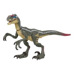 Figūrėlė Jurassic World Hammond Collection Velociraptor kaina ir informacija | Žaislai berniukams | pigu.lt