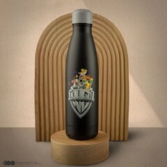 Looney Tunes butelis, 500 ml kaina ir informacija | Taurės, puodeliai, ąsočiai | pigu.lt