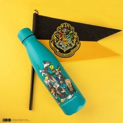 Harry Potter, 500 ml kaina ir informacija | Žaidėjų atributika | pigu.lt