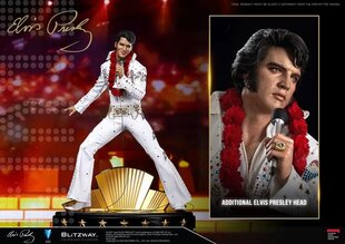 Elvis Presley Elvis Aaronas Presley цена и информация | Атрибутика для игроков | pigu.lt