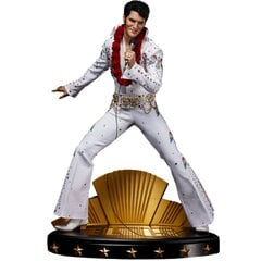 Elvis Presley Elvis Aaronas Presley цена и информация | Атрибутика для игроков | pigu.lt