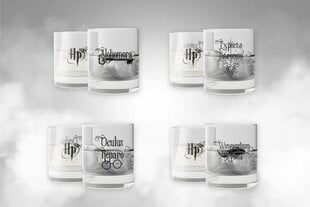 Harry Potter stiklinių rinkinys, 4 vnt. kaina ir informacija | Taurės, puodeliai, ąsočiai | pigu.lt