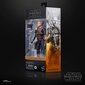 Figūrėlė Star Wars The Black Series Migs Mayfeld, 15 cm цена и информация | Žaislai berniukams | pigu.lt