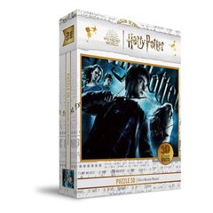 Dėlionė Harry Potter, 100 d. kaina ir informacija | Dėlionės (puzzle) | pigu.lt