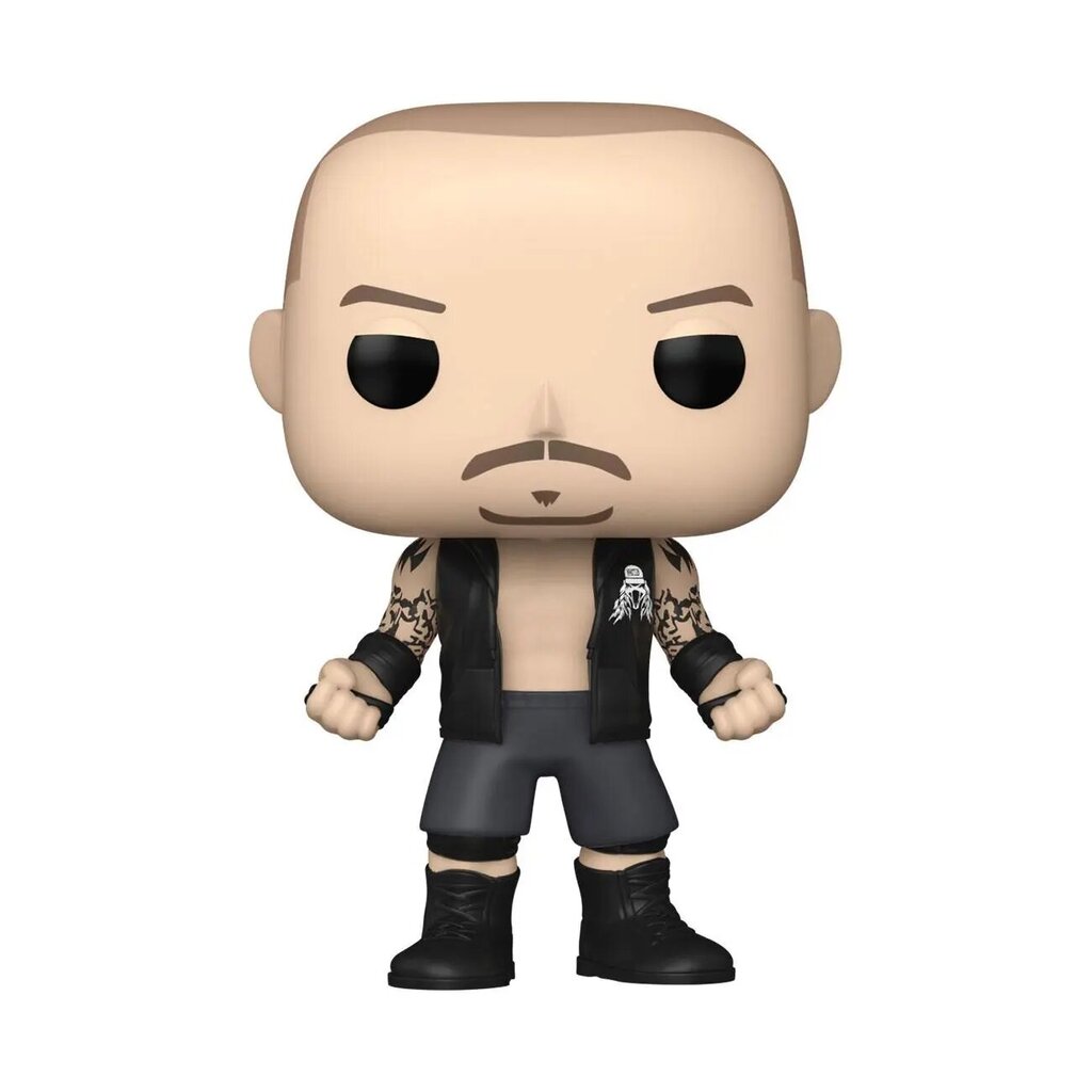 Vinilinė figūrėlė WWE POP! Randy Orton RKBro, 9 cm kaina ir informacija | Žaislai mergaitėms | pigu.lt