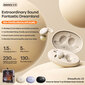 Remax SleepBuds Z2 kaina ir informacija | Ausinės | pigu.lt