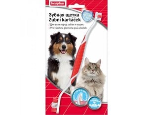Dvipusis dantų šepetėlis gyvūnams Beaphar kaina ir informacija | Priežiūros priemonės gyvūnams | pigu.lt