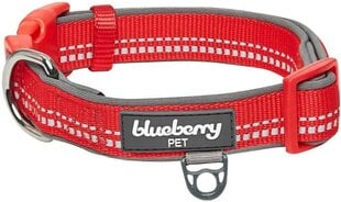 Antkaklis šunims Blueberry, 30.5-40.6 cm, raudonas kaina ir informacija | Antkakliai, petnešos šunims | pigu.lt