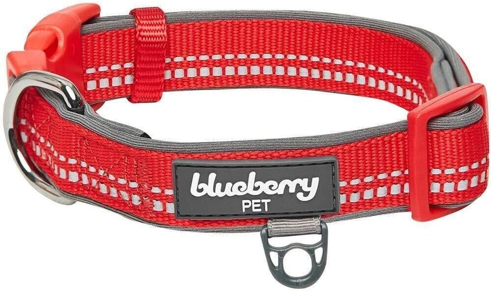 Antkaklis šunims Blueberry, 30.5-40.6 cm, raudonas цена и информация | Antkakliai, petnešos šunims | pigu.lt