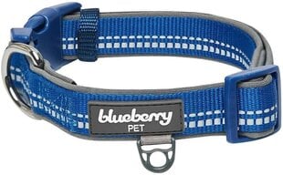 Antkaklis šunims Blueberry, 45.7-66 cm, mėlynas цена и информация | Ошейники, подтяжки для собак | pigu.lt