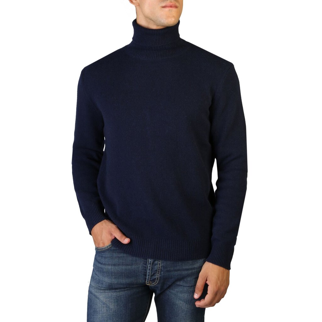 Megztinis vyrams 100% Cashmere UA-FF12_E500, mėlynas цена и информация | Megztiniai vyrams | pigu.lt