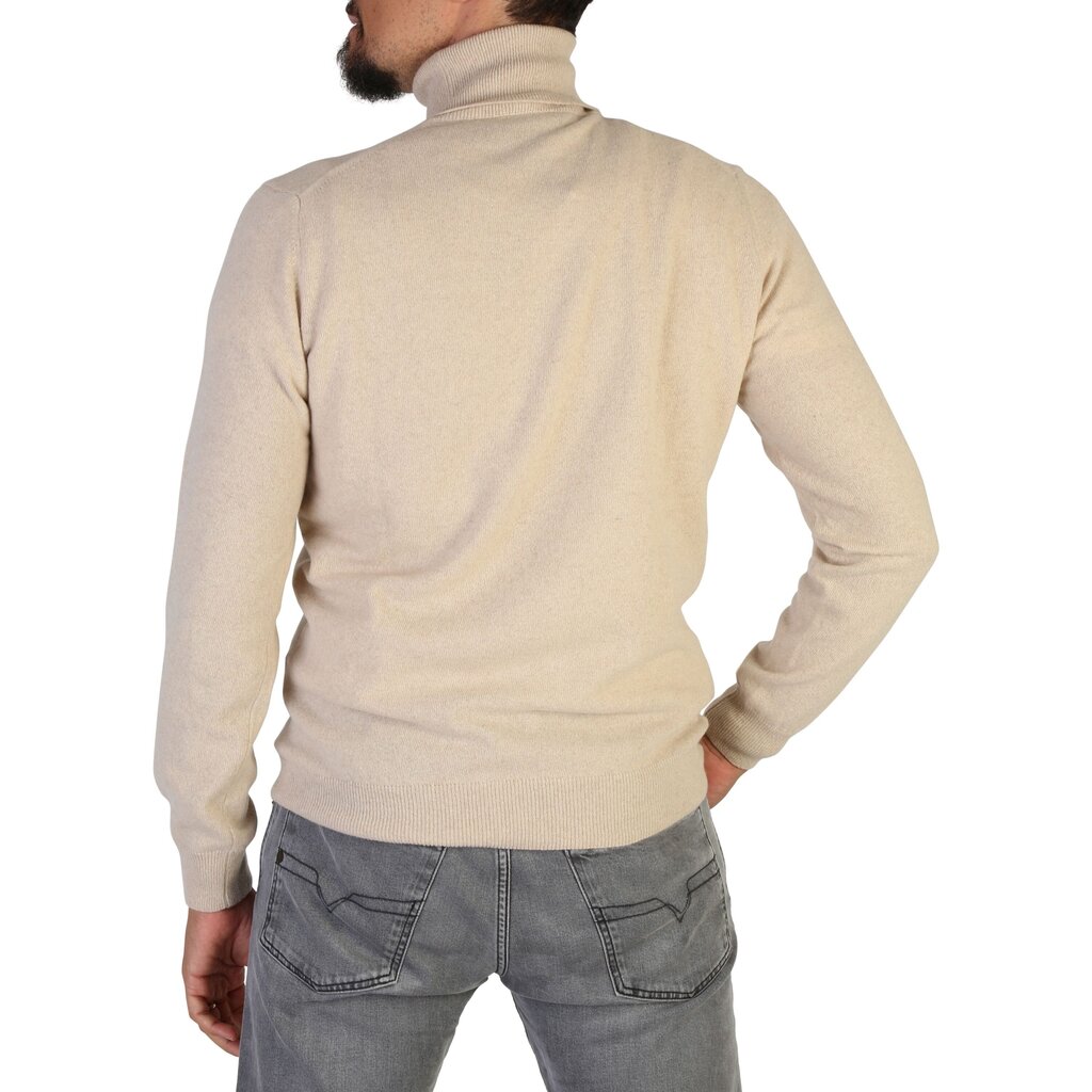 Megztinis vyrams 100% Cashmere UA-FF12, smėlio spalvos kaina ir informacija | Megztiniai vyrams | pigu.lt