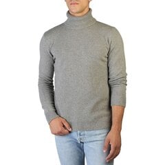 Megztinis vyrams 100% Cashmere UA-FF12_E800, pilkas цена и информация | Мужские свитера | pigu.lt