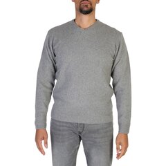 Megztinis vyrams 100% Cashmere UV-FF7_E800, pilkas kaina ir informacija | Megztiniai vyrams | pigu.lt
