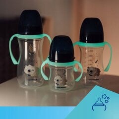 Buteliukas Canpol Babies 52455, 3 mėn+, 240 ml kaina ir informacija | Buteliukai kūdikiams ir jų priedai | pigu.lt