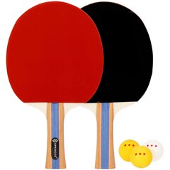 Stalo teniso rinkinys Springos KG0003, įvairių spalvų kaina ir informacija | Stalo teniso raketės, dėklai ir rinkiniai | pigu.lt