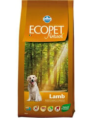 Farmina Ecopet Natural visų veislių šunims su ėriena, 12 kg kaina ir informacija | Sausas maistas šunims | pigu.lt