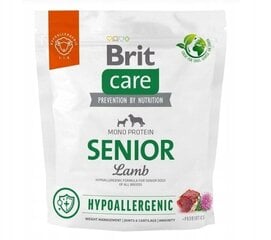 Brit Care гипоаллергенный для пожилых собак с ягненком и рисом, 1 кг цена и информация |  Сухой корм для собак | pigu.lt