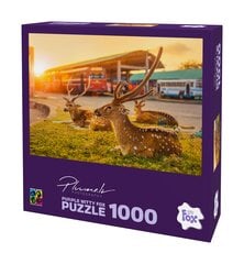 Dėlionė Purple Witty Fox Šri Lanka, Trincomalee, 1000 d. цена и информация | Пазлы | pigu.lt