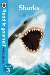 Sharks - Read it yourself with Ladybird: Level 3 (non-fiction): Level 3 (Non-Fiction), Level 3 цена и информация | Книги для малышей | pigu.lt