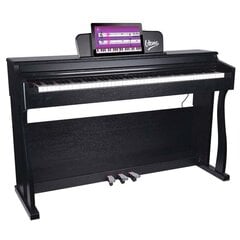 Skaitmeninis pianinas V-Tone BL 8808 kaina ir informacija | Klavišiniai muzikos instrumentai | pigu.lt