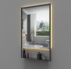 LED veidrodis Springfield WiFi, 60x90 cm kaina ir informacija | Vonios veidrodžiai | pigu.lt