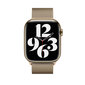 Watch Minalese Loop Gold kaina ir informacija | Išmaniųjų laikrodžių ir apyrankių priedai | pigu.lt