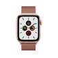 Watch Minalase Loop Rose Gold kaina ir informacija | Išmaniųjų laikrodžių ir apyrankių priedai | pigu.lt