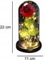 Stabilizuota rožė Belsi цена и информация | Miegančios rožės, stabilizuoti augalai | pigu.lt