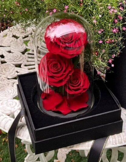 Stabilizuota rožė Belsi V kaina ir informacija | Miegančios rožės, stabilizuoti augalai | pigu.lt