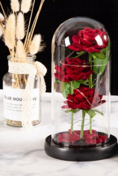 Stabilizuota rožė Belsi V kaina ir informacija | Miegančios rožės, stabilizuoti augalai | pigu.lt