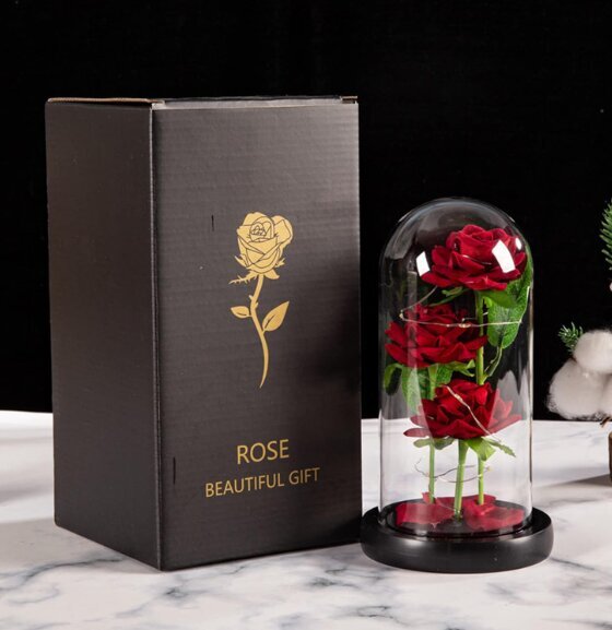 Stabilizuota rožė Belsi 3 kaina ir informacija | Miegančios rožės, stabilizuoti augalai | pigu.lt