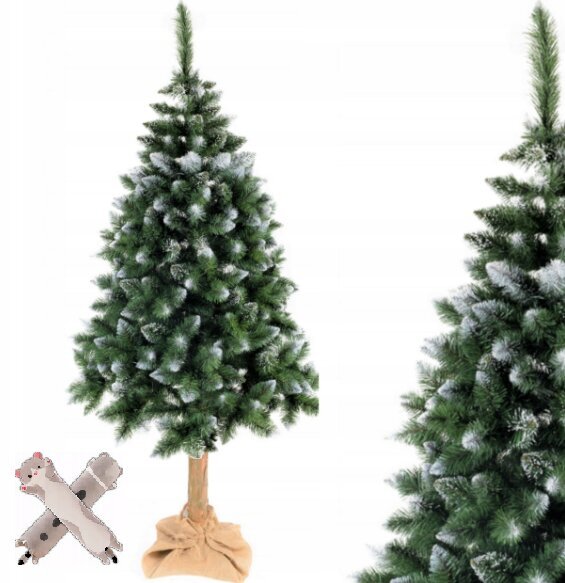 Kalėdinė eglutė LMG, 170 cm kaina ir informacija | Eglutės, vainikai, stovai | pigu.lt