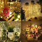 Kalėdinė girlianda, 200 LED kaina ir informacija | Girliandos | pigu.lt