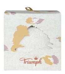 Kojinės moterims Triumph Accessories Gift Set Sock 01, baltos kaina ir informacija | Moteriškos kojinės | pigu.lt