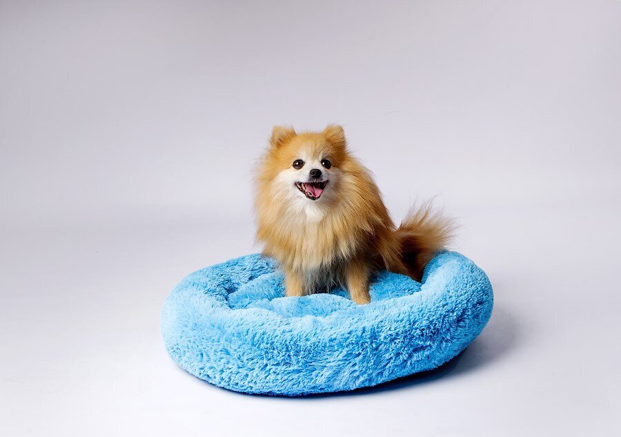 Guolis šunims Go Gift Shaggy, įvairių dydžių, mėlynas цена и информация | Guoliai, pagalvėlės | pigu.lt