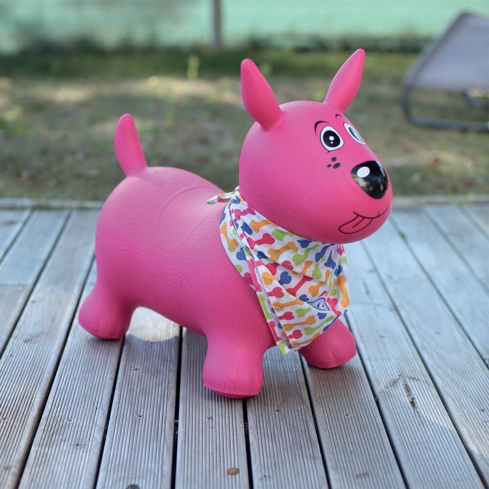 Šuns formos šokliukas Ludi, rožinis цена и информация | Žaislai kūdikiams | pigu.lt